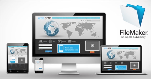 Custom FileMaker application
